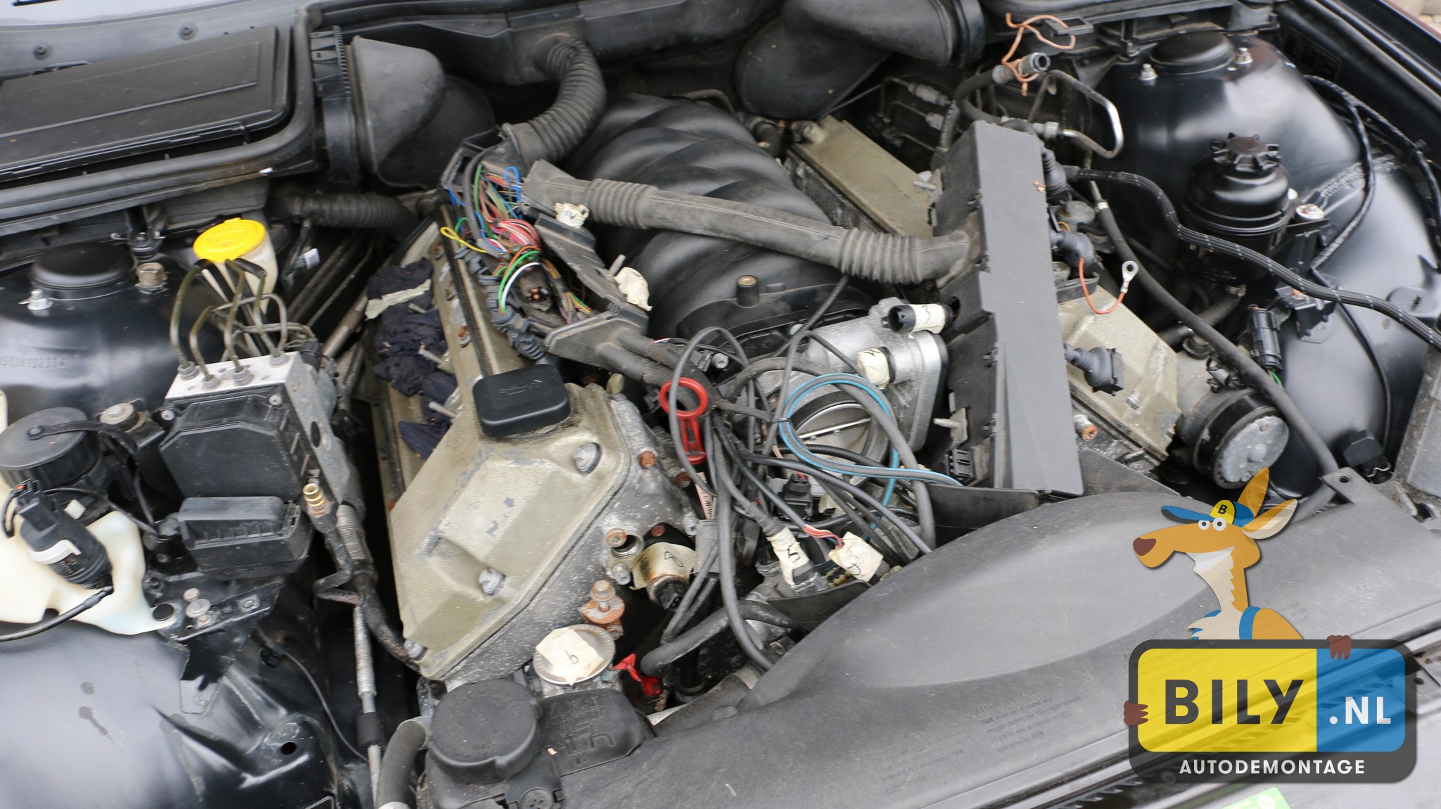 BMW E39 540i touring M62TU black saffier metallic - Afbeelding 18