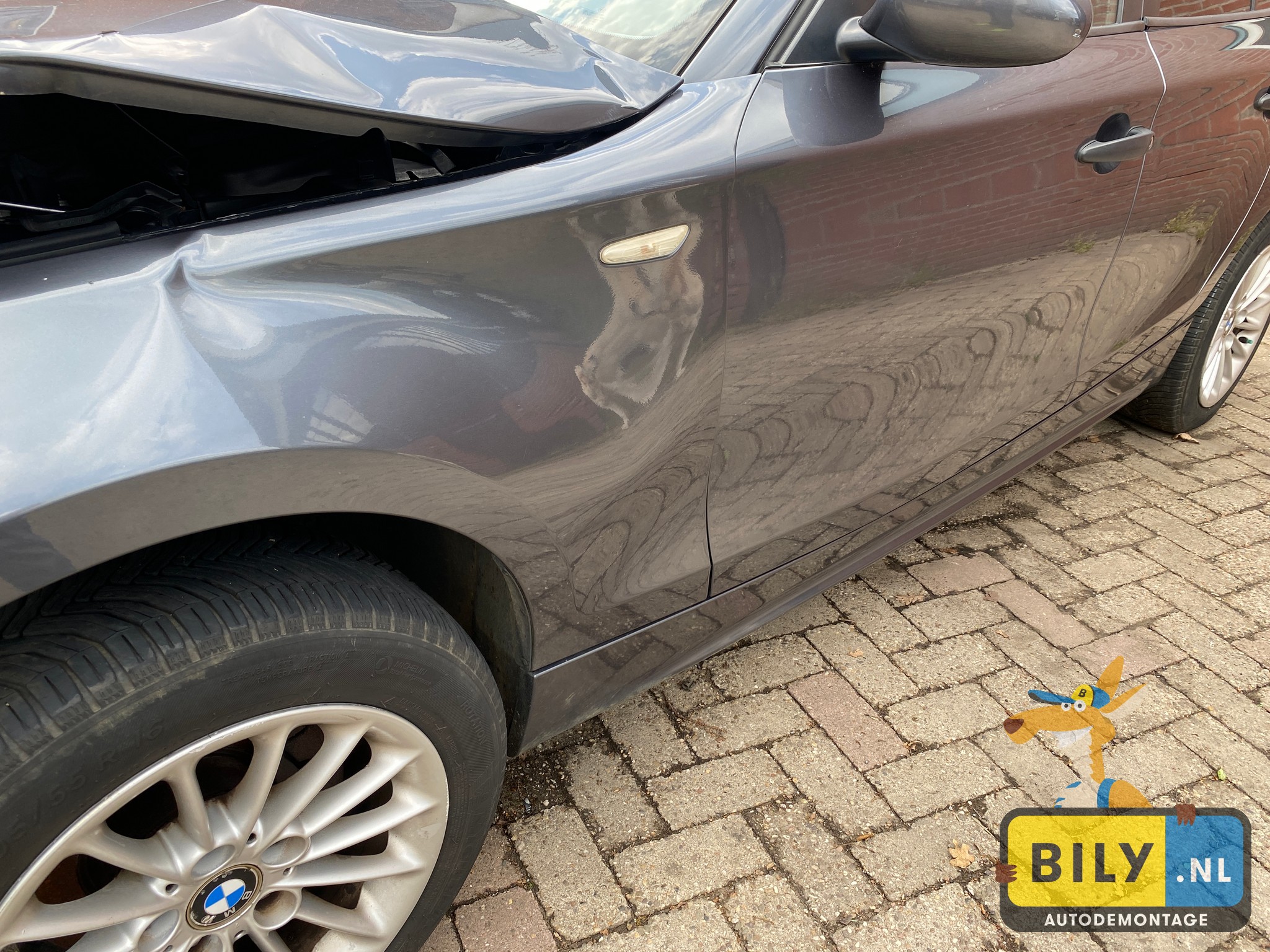 E87 118D M47N2 sparkling metallic - Afbeelding 7