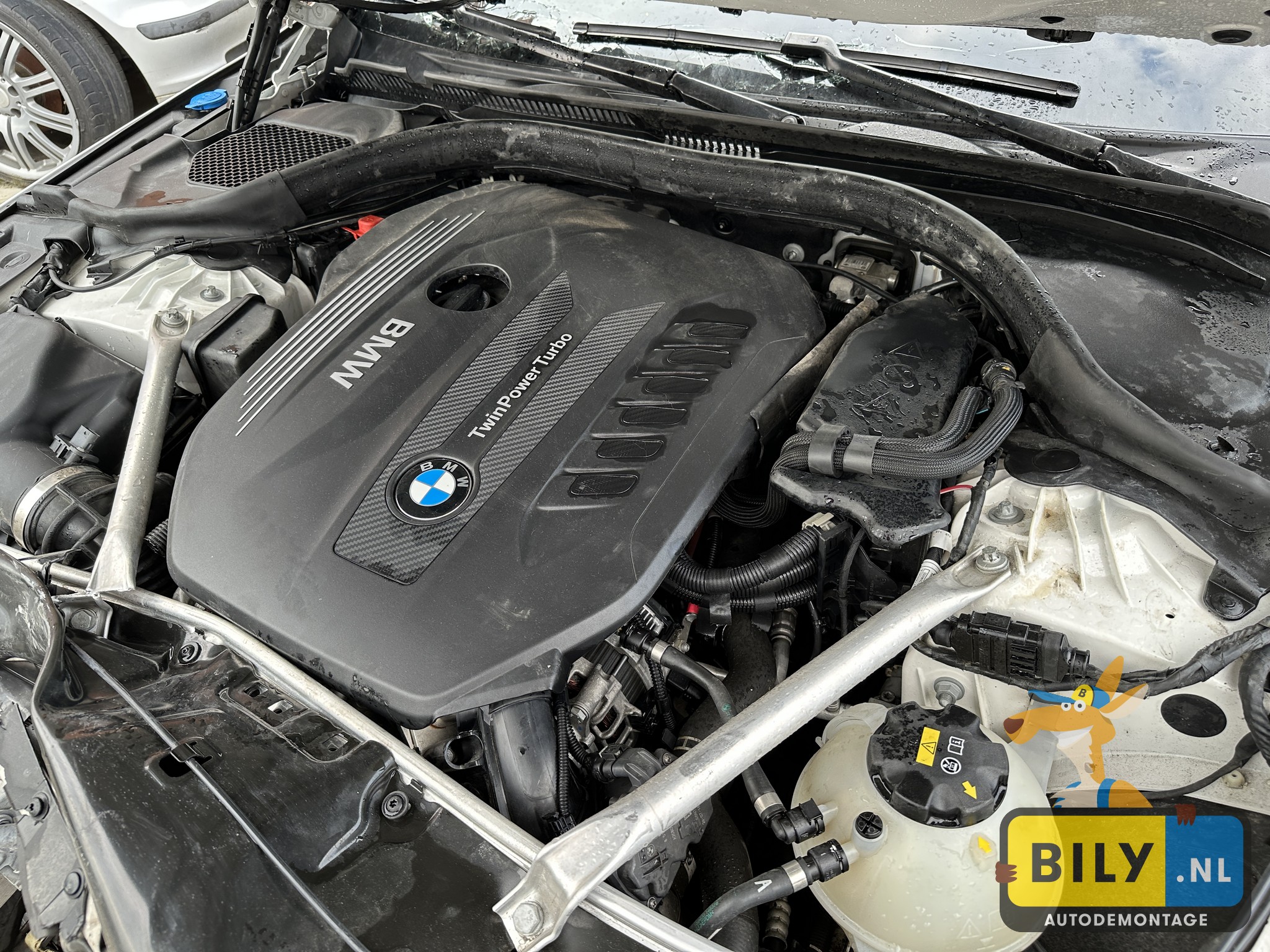 G30 530XD B57O Alpinweiss 3 - Afbeelding 12