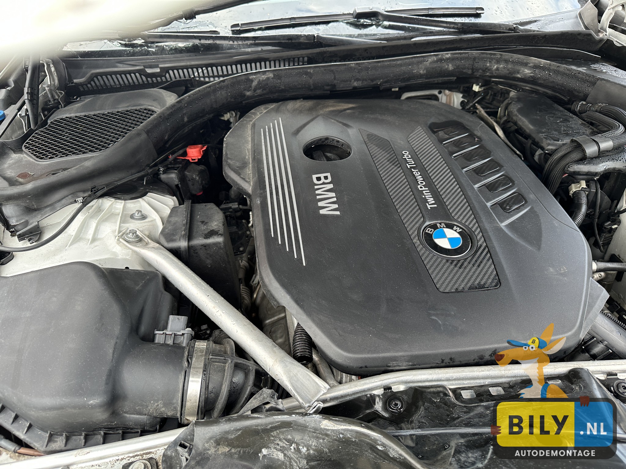 G30 530XD B57O Alpinweiss 3 - Afbeelding 13