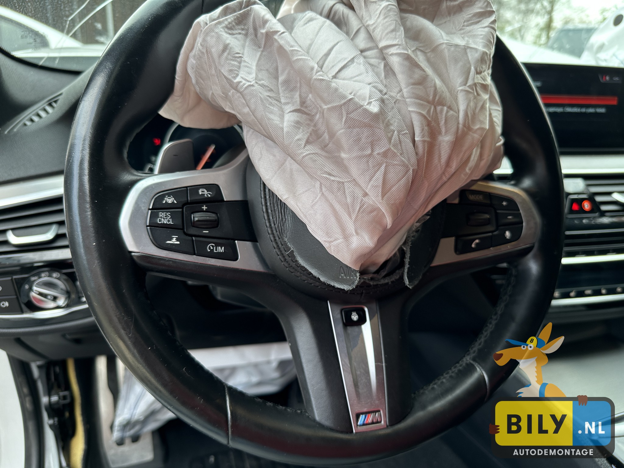 G30 530XD B57O Alpinweiss 3 - Afbeelding 17