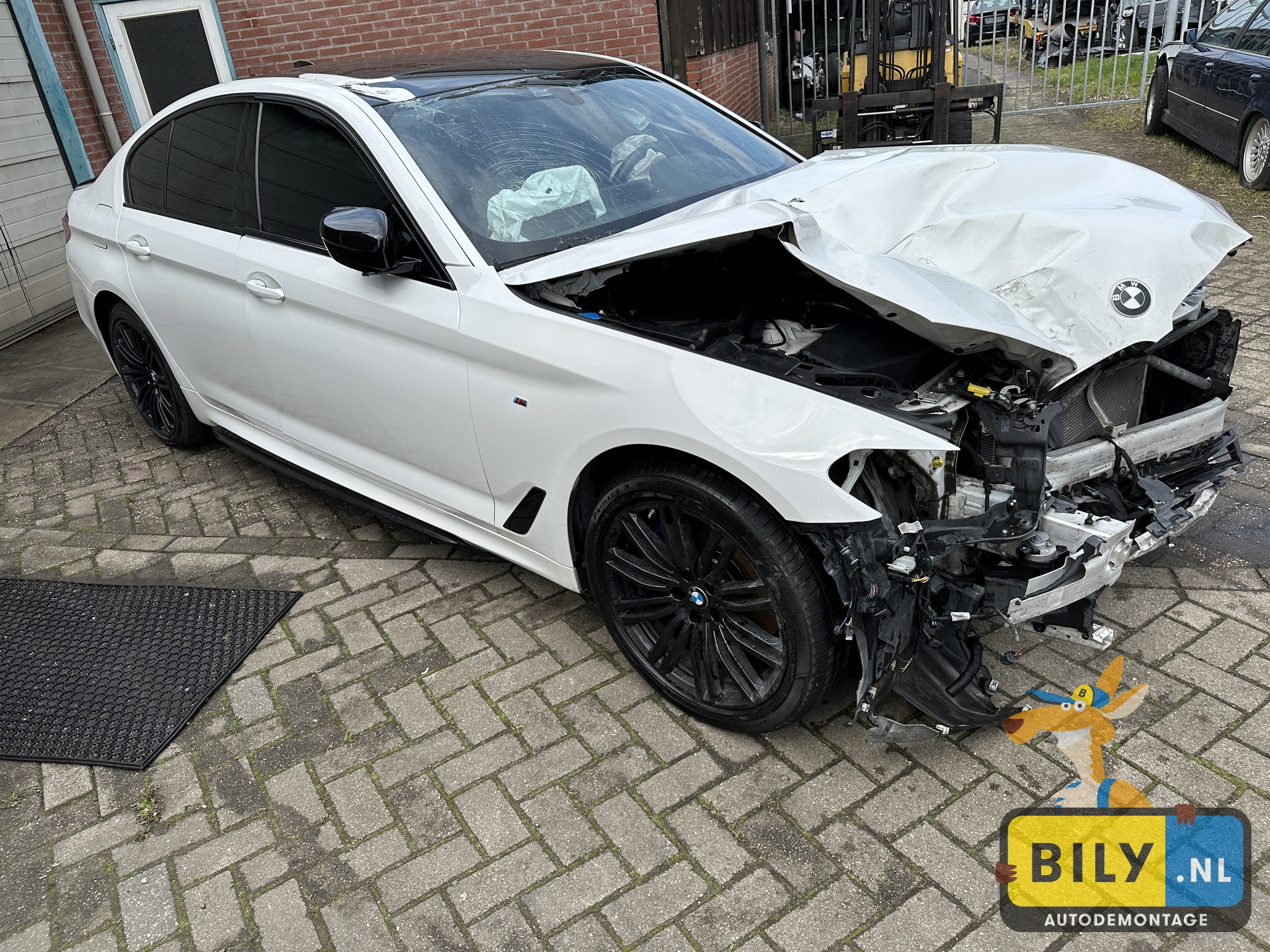 G30 530XD B57O Alpinweiss 3 - Afbeelding 3