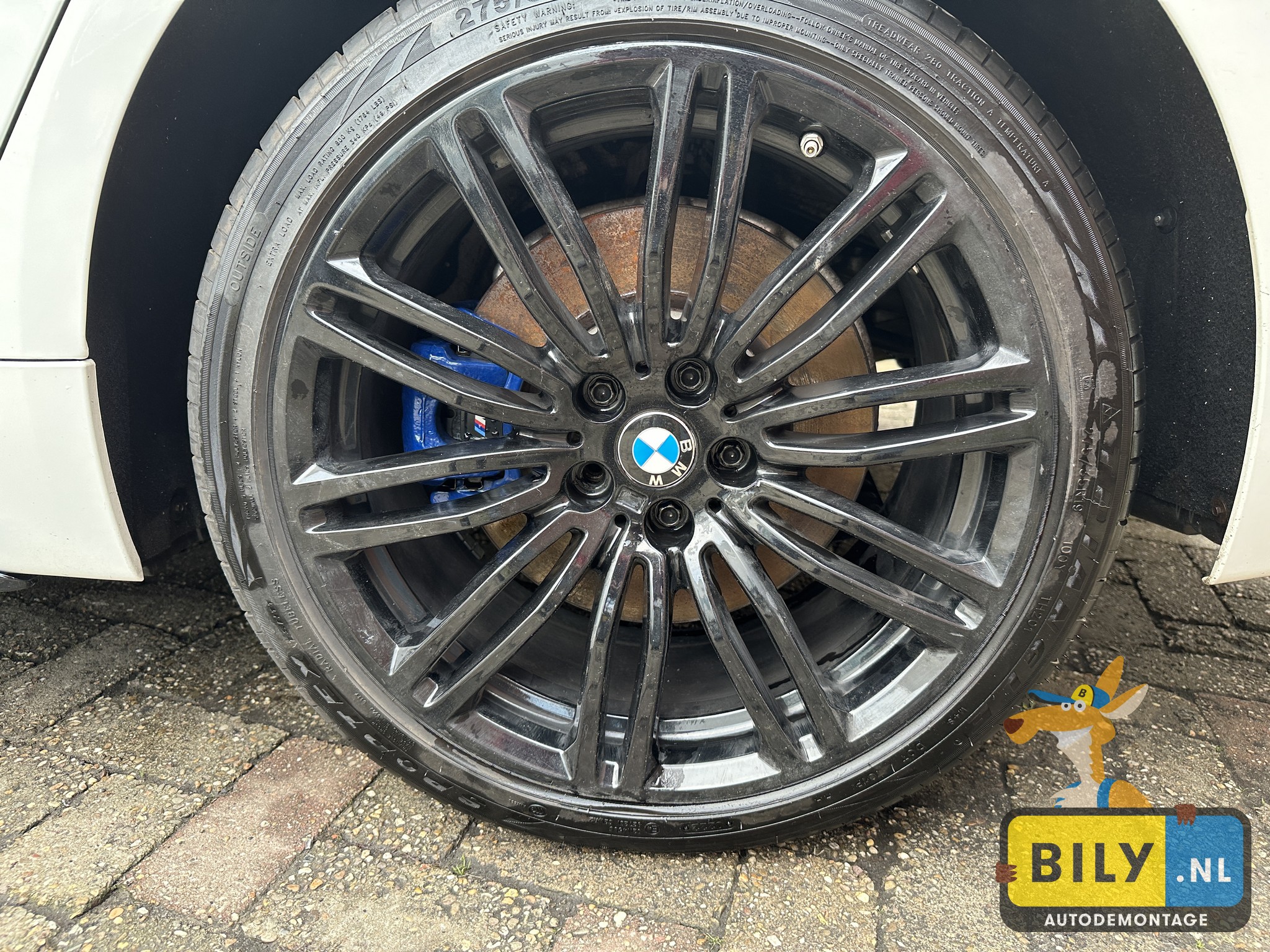 G30 530XD B57O Alpinweiss 3 - Afbeelding 8