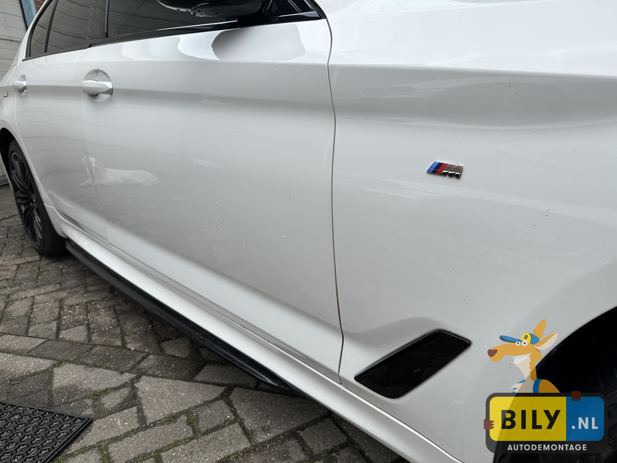 G30 530XD B57O Alpinweiss 3 - Afbeelding 10