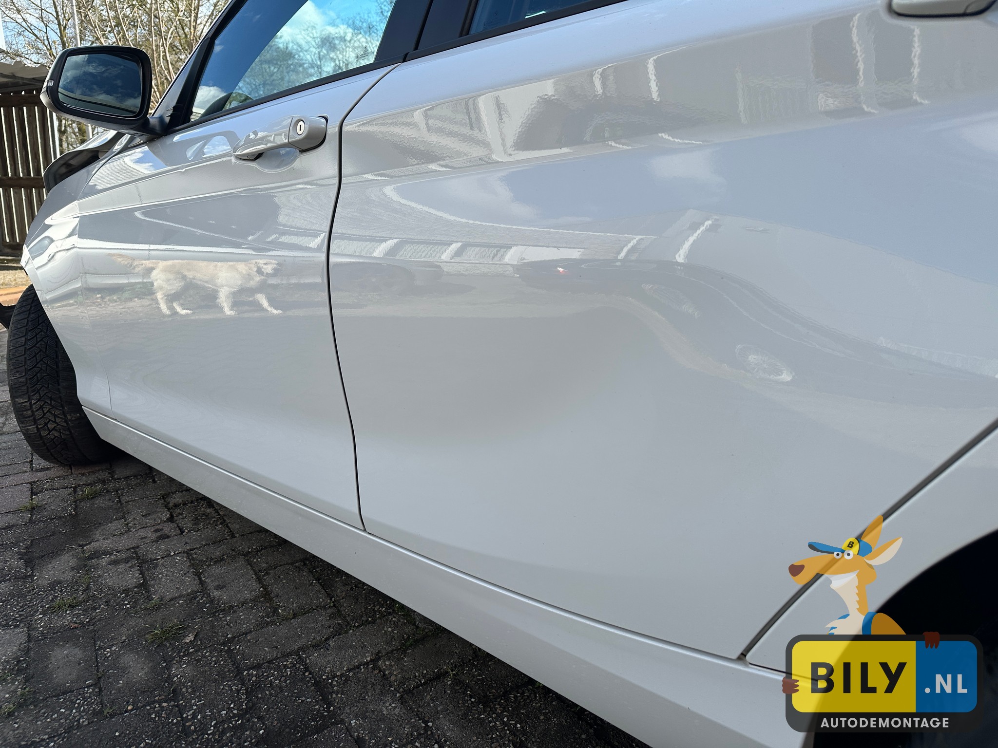 F20 114i N13 alpinweiss 3 - Afbeelding 7