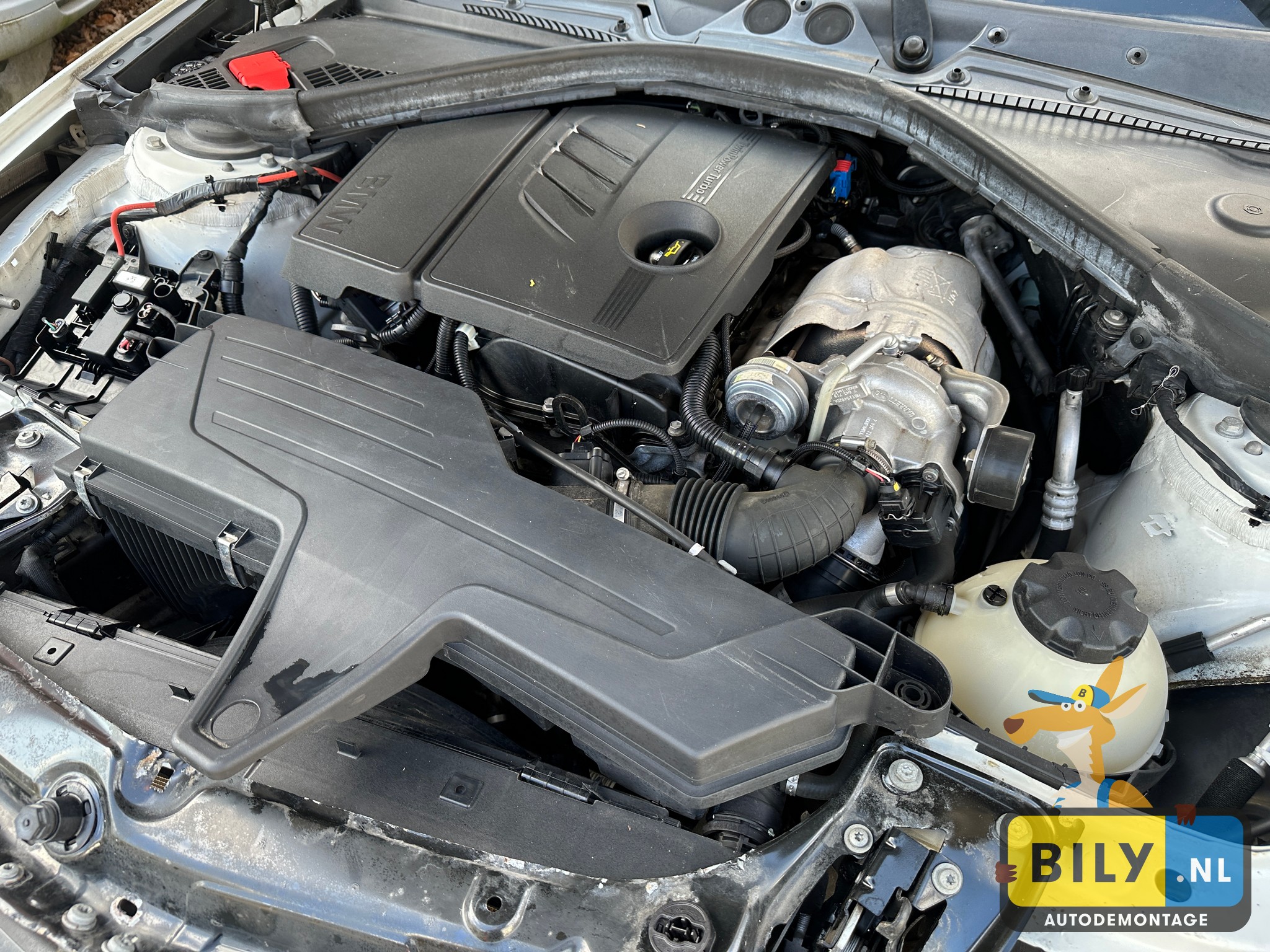 F20 114i N13 alpinweiss 3 - Afbeelding 10