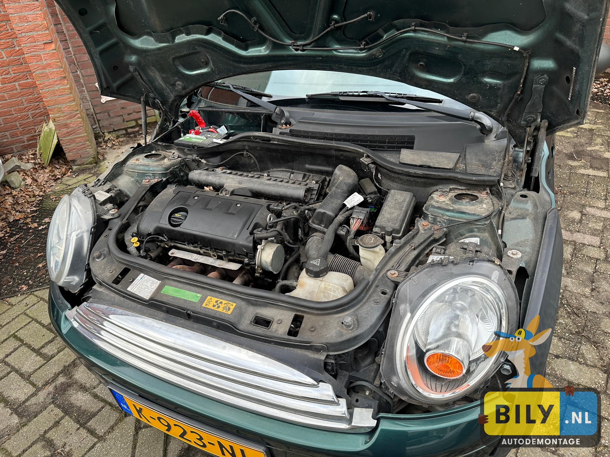 R56 cooper ONE N12 british-racing-green metallic - Afbeelding 8