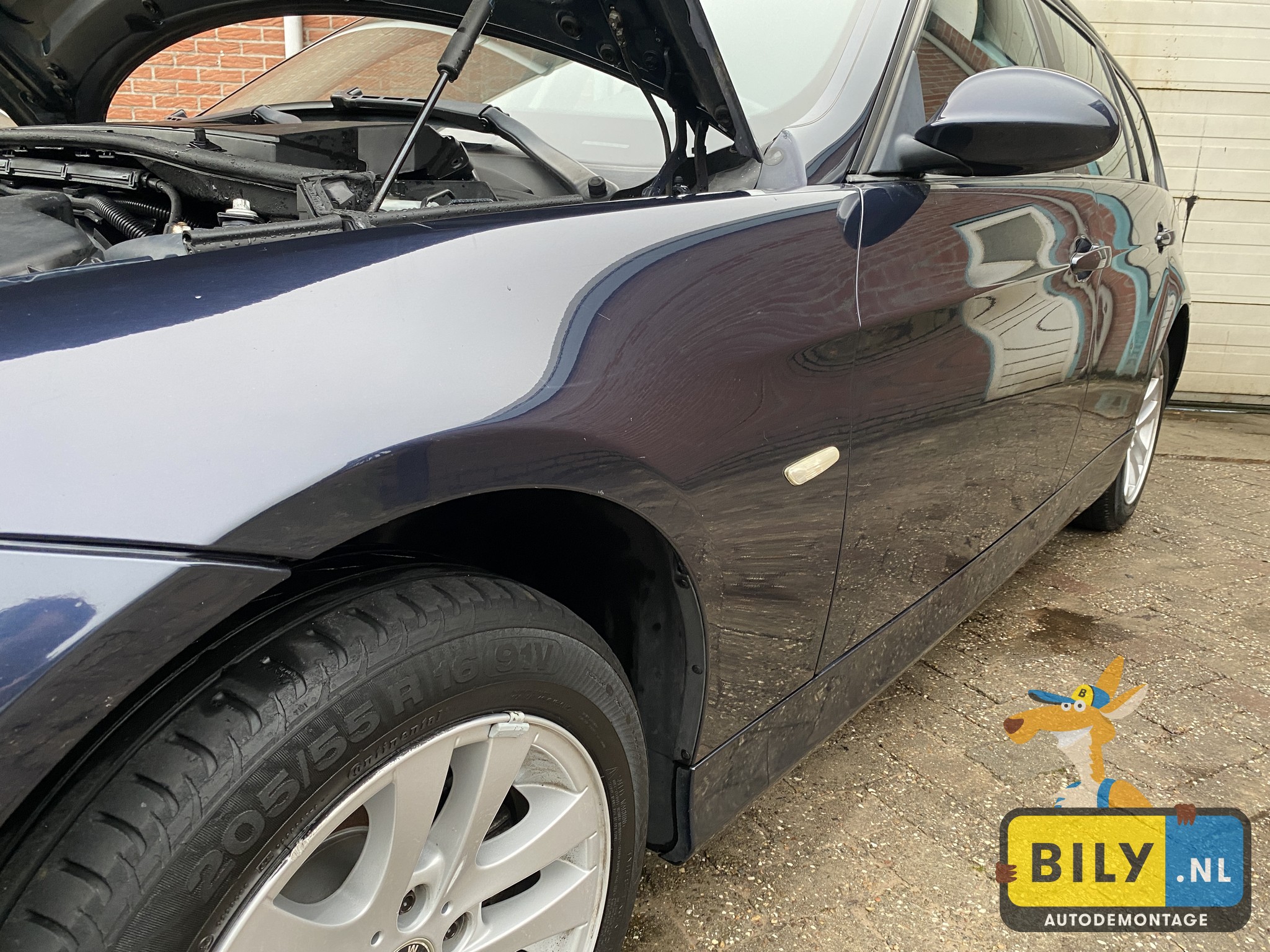 E91 318I N46B20 Monacoblau metallic - Afbeelding 10