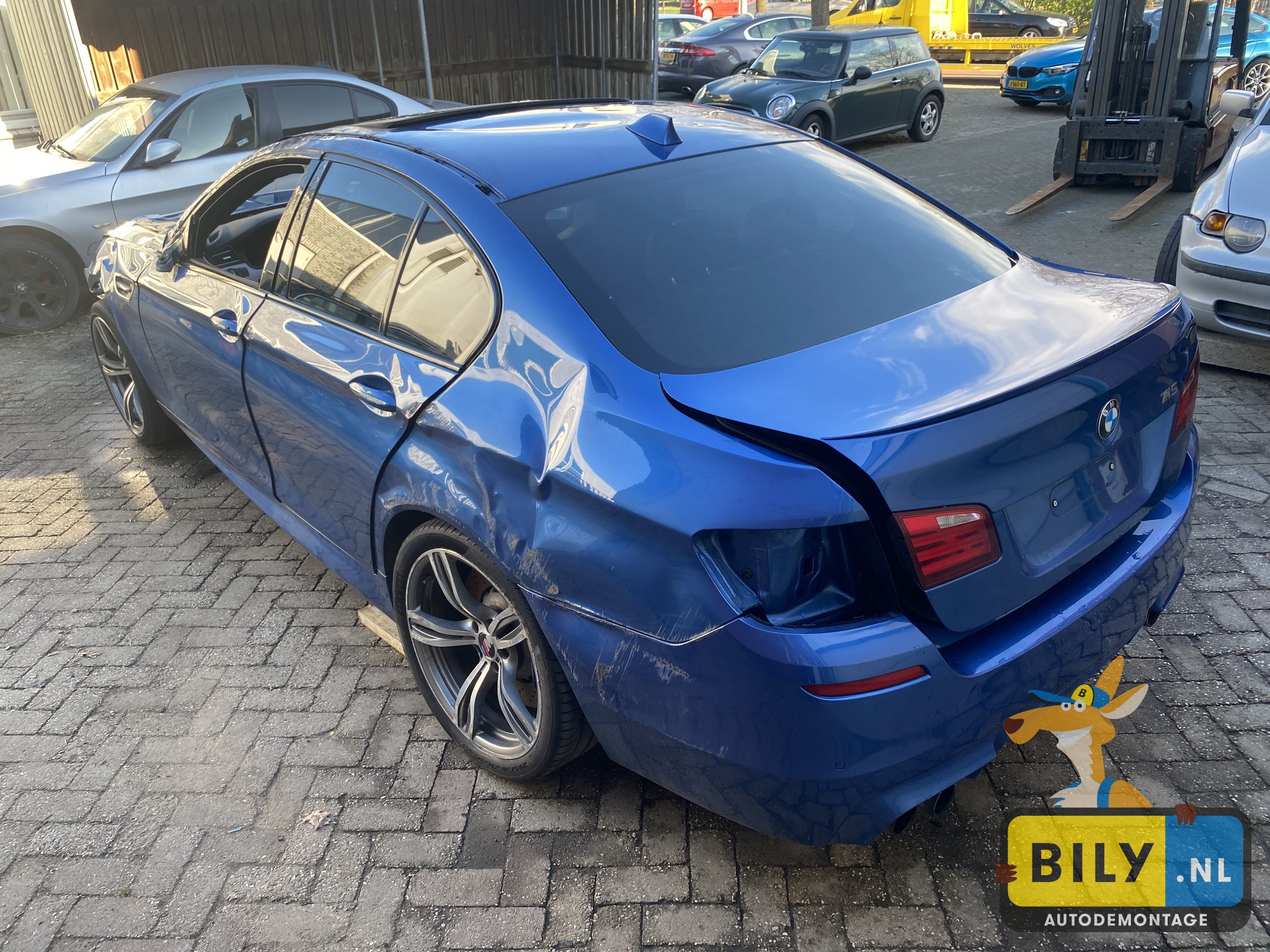 F10 M5 S63 Monte carlo blauw - Afbeelding 5