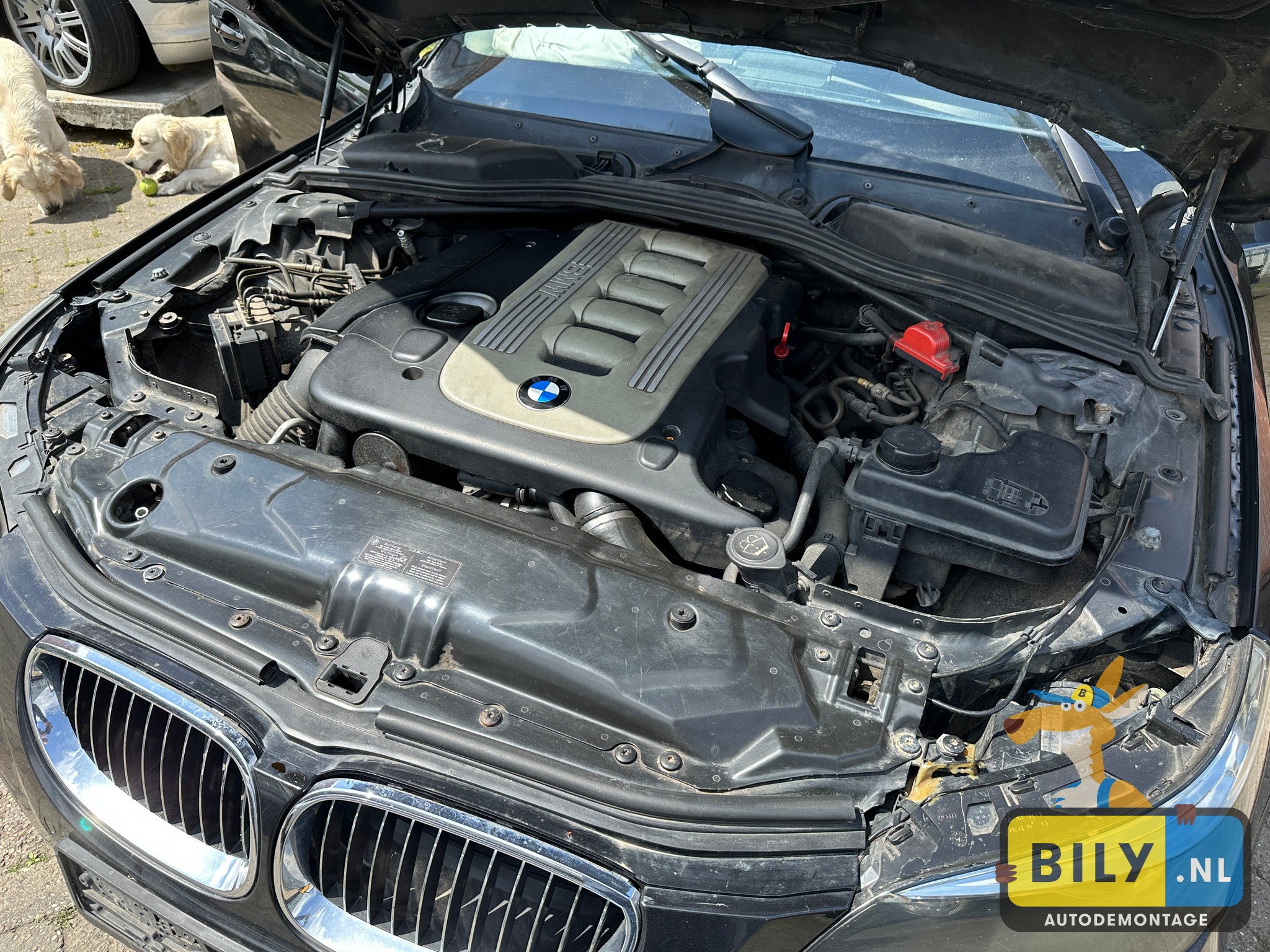 E60 525D M57N black-sapphire metallic - Afbeelding 20