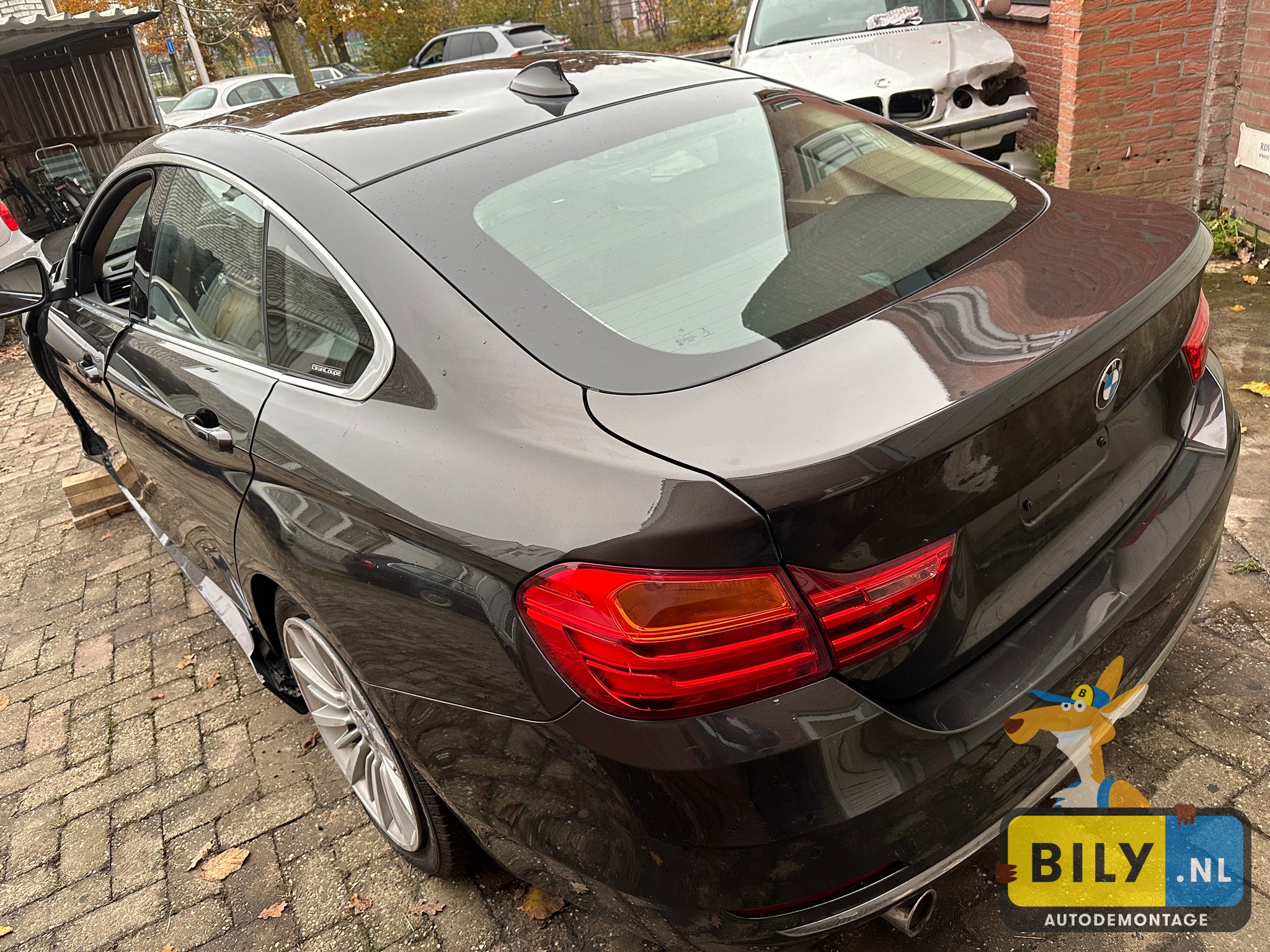 F36 418D B47 Jatoba metallic - Afbeelding 6