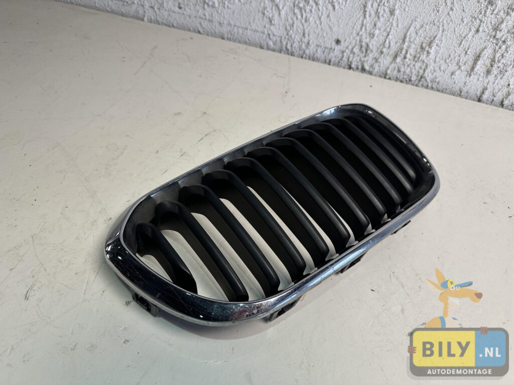 F20 lci grill rechts