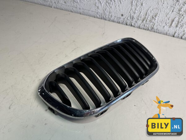 F20 lci grill rechts