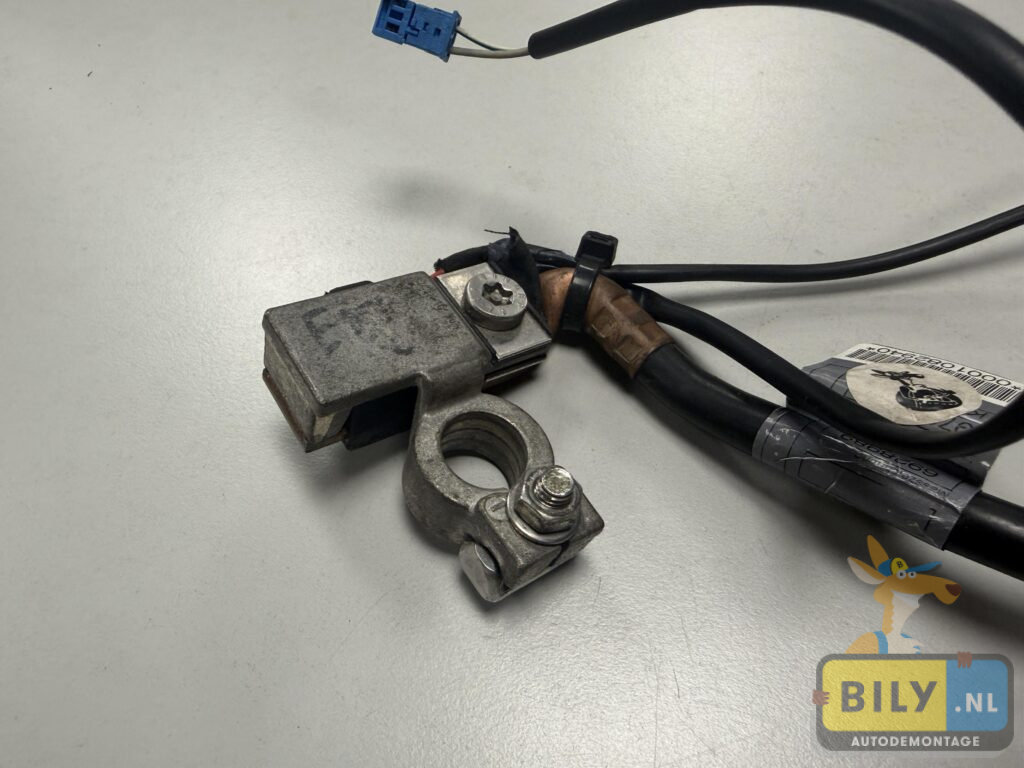 E90 accu – pool klem