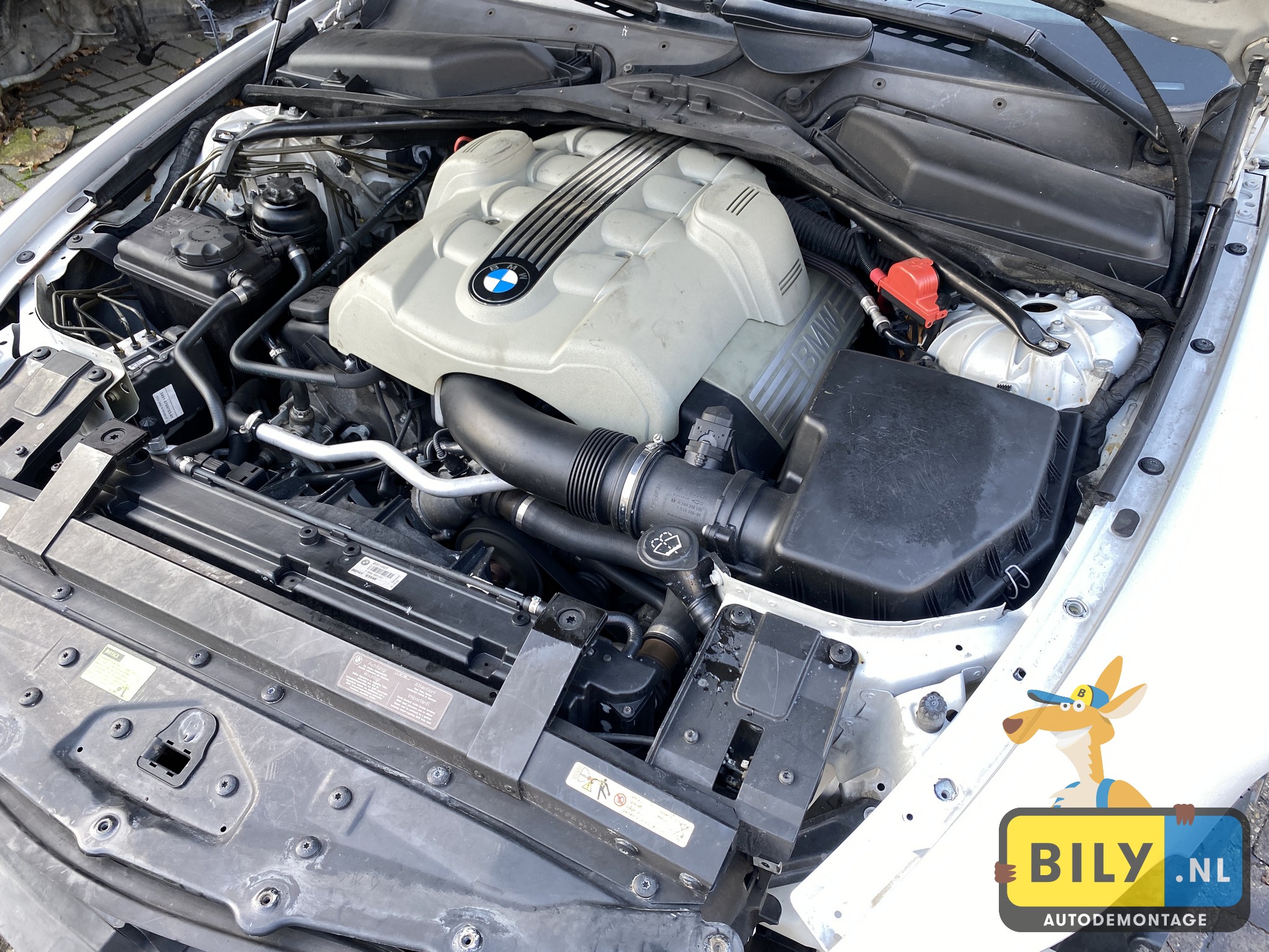 BMW E64 645ci N62 TITAN ZILVER METALLIC - Afbeelding 10