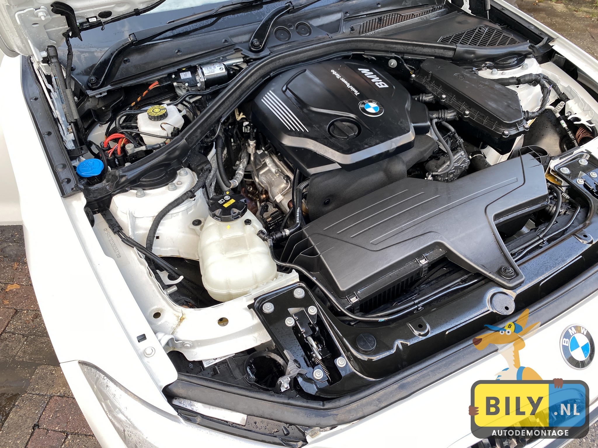 BMW F20 116d B37 Alpineweiss 3 - Afbeelding 18