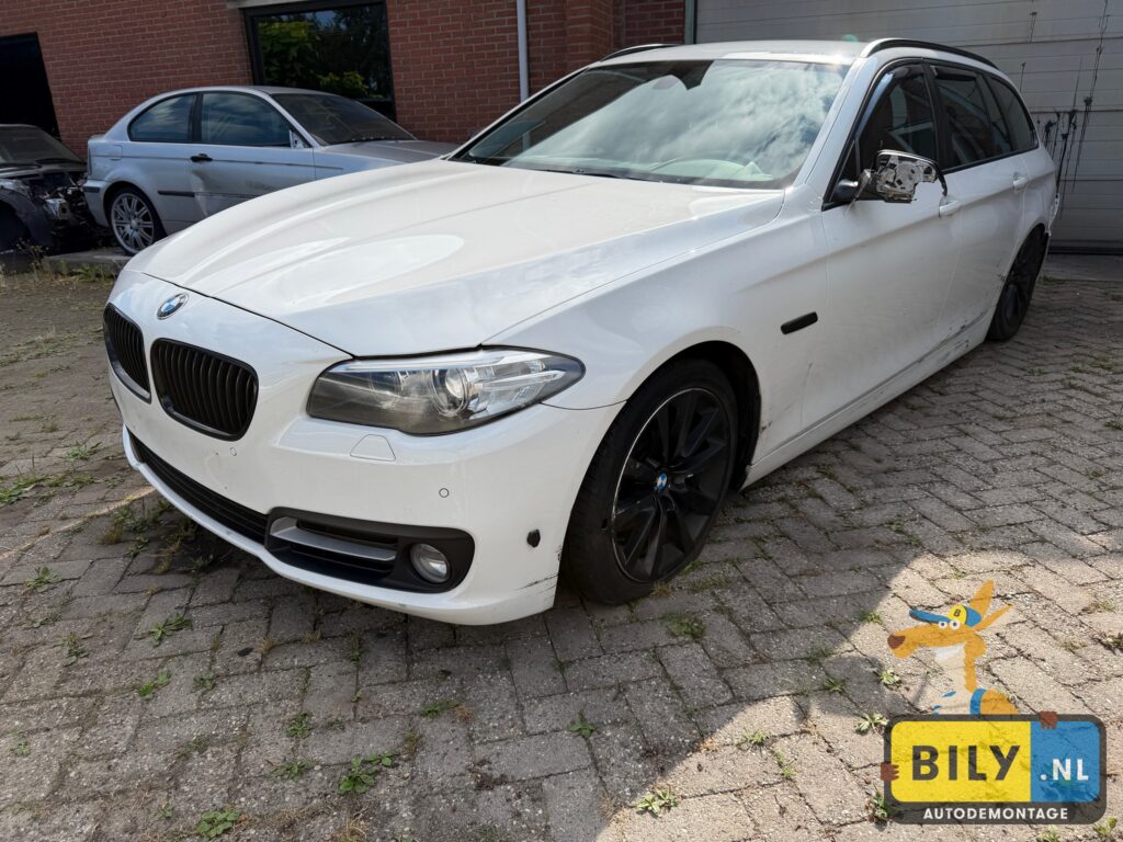BMW F11 520XD B47D20 Alpineweiss 3